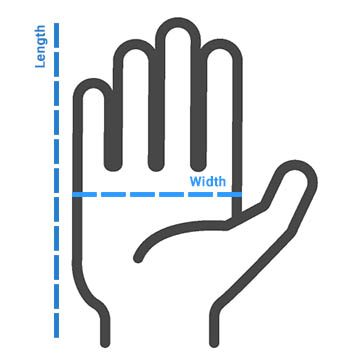 Glove illustration